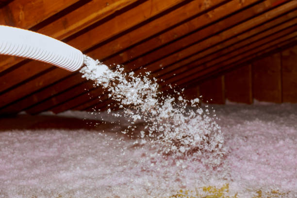 Best Garage Insulation Installation  in Michigan City, IN