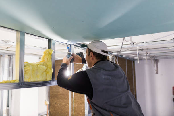 Best Insulation Contractors for Homes  in Michigan City, IN