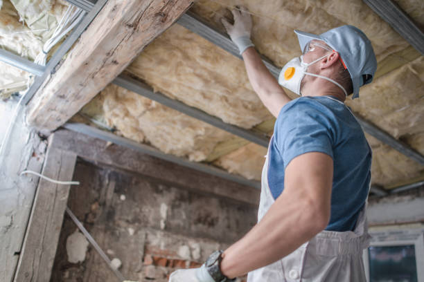Insulation Inspection Services in Michigan City, IN